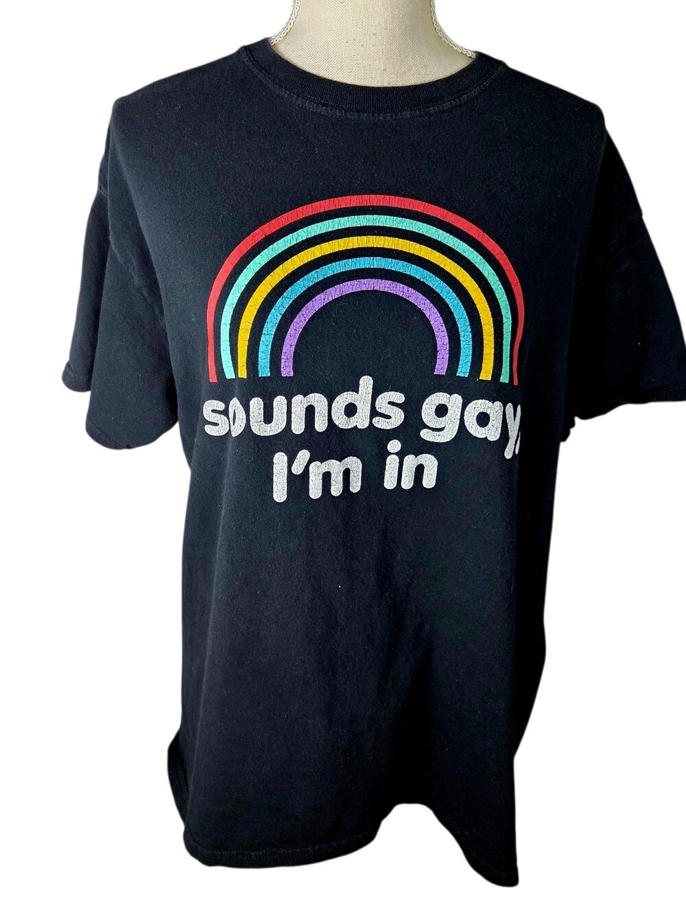 🔥4/$20 Rainbow LGBTQ T-Shirt Womens Large -Black -Retro Style *MINOR WEAR*